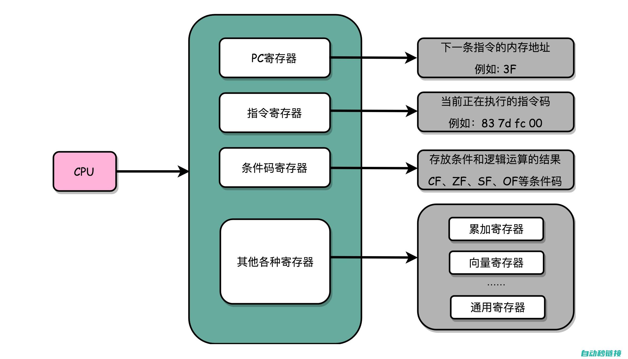 指令应用与操作 (指令应用与操作教案)